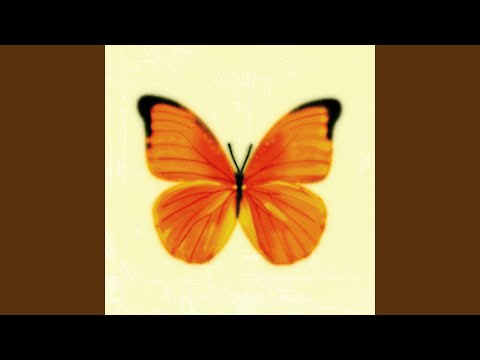 Orange - Tobias Rahim