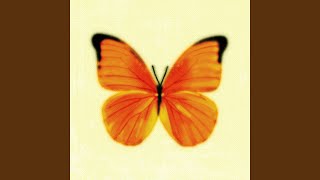 Kadr z teledysku Orange tekst piosenki Tobias Rahim