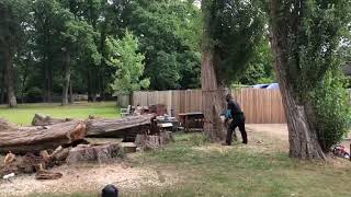 Album cover: Video Of Works 