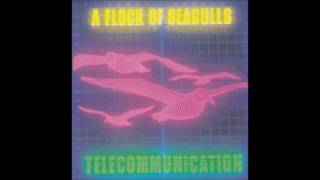 Telecommunication by A Flock Of Seagulls