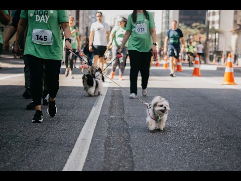 1a Dog Day Shopping Pátio Paulista (resumido)