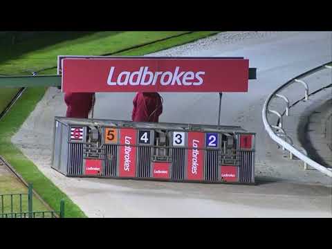 Signet Mafia - Monmore A1