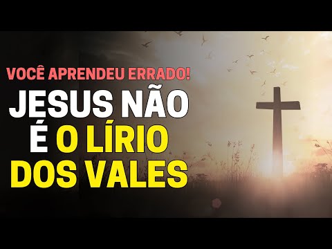 LÍRIO DOS VALES: QUAL O SIGNIFICADO BÍBLICO? JESUS É O LÍRIO DOS VALES NA BÍBLIA?