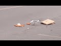 Seagull Steals A Pizza