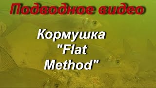 Метод фидер или кормушка