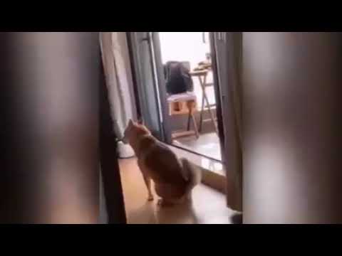 நல்ல எக்சசைஸ்