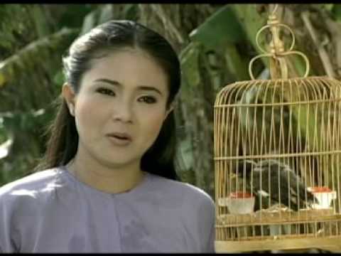 Điệu buồn Phương Nam (Thanh Ngân)