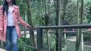 Download lagu Ranca buaya dadang kolenyay mp3