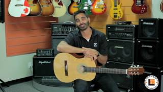 Denver Full Size Nylon String Acoustic Guitar [Product Demonstration]