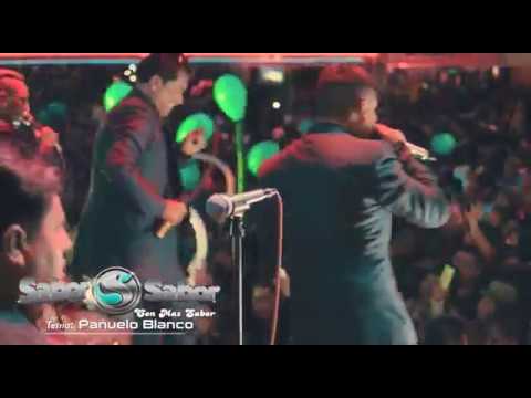 Pañuelo Blanco   Grupo Sabor Sabor 2018 en Vivo