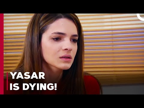 Yasar's Heart Stops! - Can't Stop Loving You