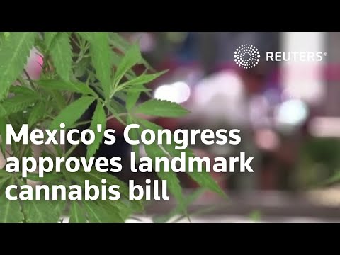 墨西哥國會準許具有里程碑意義的大麻法案 (Mexico's Congress approves landmark cannabis bill)