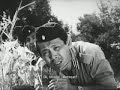 Film Pejuang Republik Indonesia
