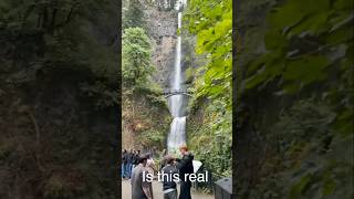 Download lagu Multnomah Falls - Organ mp3