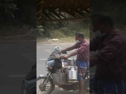 RIP my dog/Mr.Hameed Talga YT