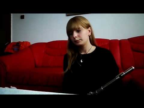 Dayy - 2U [flute cover]