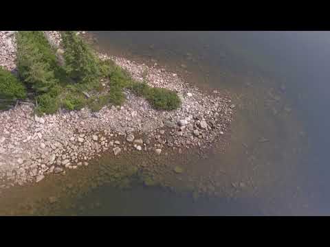 Saymo   A View From Above