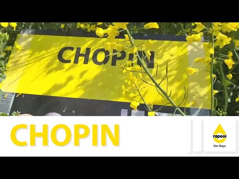 RAPOOL variety presentation CHOPIN