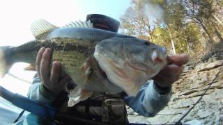 preview picture of video 'In Search of Monster Table Rock Lake Bass!'