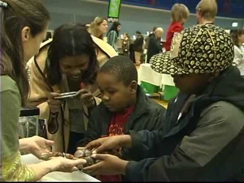 YouTube Video WuuSvGC01VQ