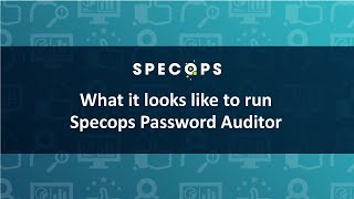 Specops Password Auditor video