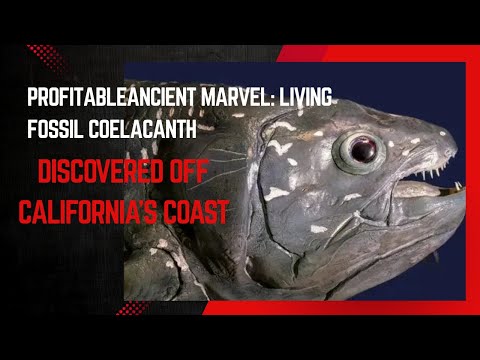 "Ancient Marvel: Living Fossil Coelacanth Discovered Off California's Coast"