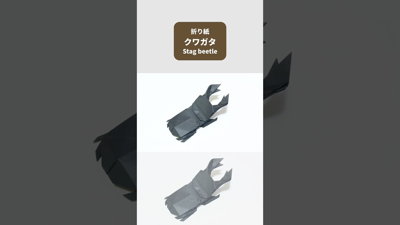 折り紙「クワガタ」ができるまで！ #折り紙 #origami #クワガタ