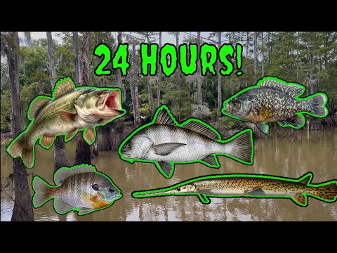 How Many Fish Species Can I Catch and Cook in ONE Day? (Fresh And Salt!)