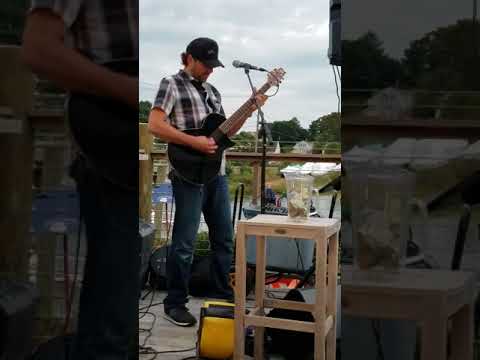 Tim Palmieri Stony Creek Brewery 9/14/18  Little Wing - Mother Nature's Son - Loser