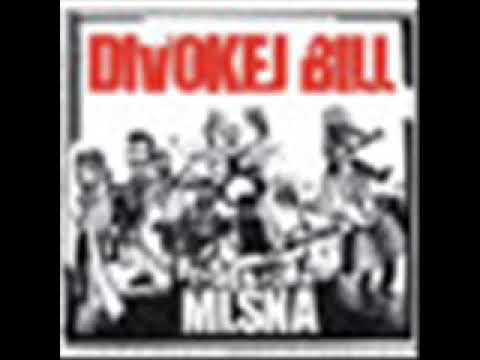 Divokej Bill batalion