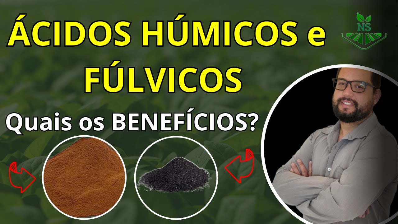 BENEFÍCIOS da utilização dos ÁCIDOS HÚMICOS e FÚLVICOS