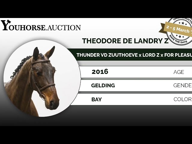 Theodore showvideo