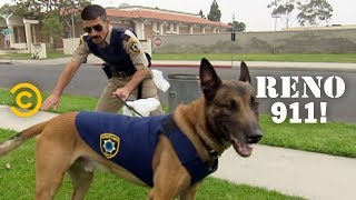What Happens After a Police Dog Swallows Explosives - RENO 911!