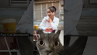 Girl empress gone wrong 🤣 #funny #cat #dance #shorts