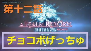 ［ファイナルファンタジーXIV］光の戦士（おっさん）になりたい！［ 新生エオルゼア編　第十二話］