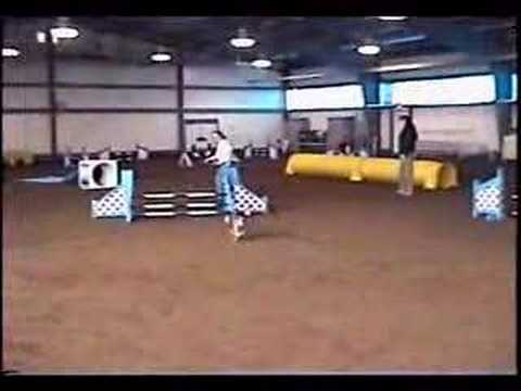 Xochi - advanced jumpers 2007-04-14.