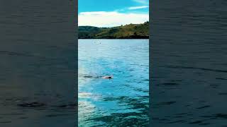 Download lagu Sudamala Resort Seraya #shorts mp3