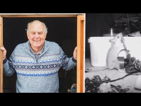 יצור קטן ומפתיע מנקה לאיש הזה את המחסן בכל לילה