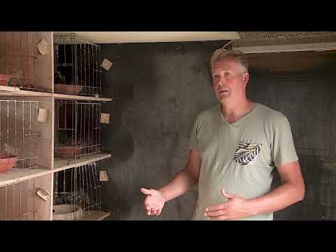 De Belgische Reisduif: De Constateur Gunther Ceulemans