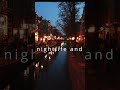 Amsterdam Top 10 Tourist Attractions Red Light District
