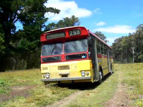 MAN SL200 Mk1 Bus #259, on the move.