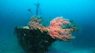 I'm Still in the Dark : Big Joe Turner