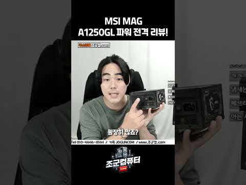 MSI MAG A1250GL 파워