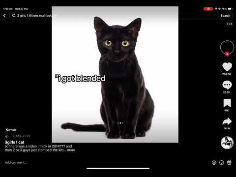 3 Girls 1 Kitten * (read desc to watch the vid)