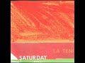 Yo La Tengo - Danelectro 3