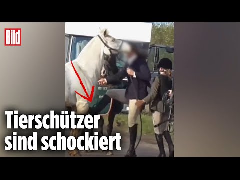 , title : 'Reiterin schlägt und tritt ihr Pferd | Unfassbare Szenen in England'