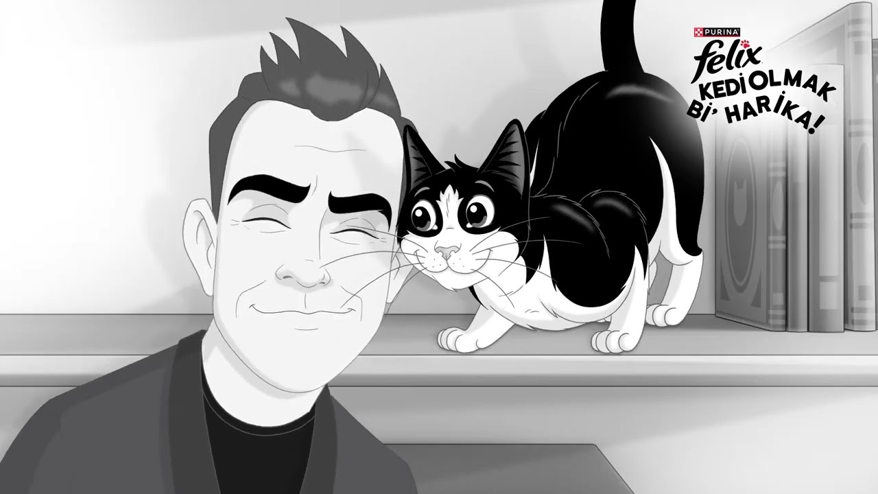 Felix Kuzu Etli Yetişkin Kedi Konservesi 85gr tanıtım video görseli