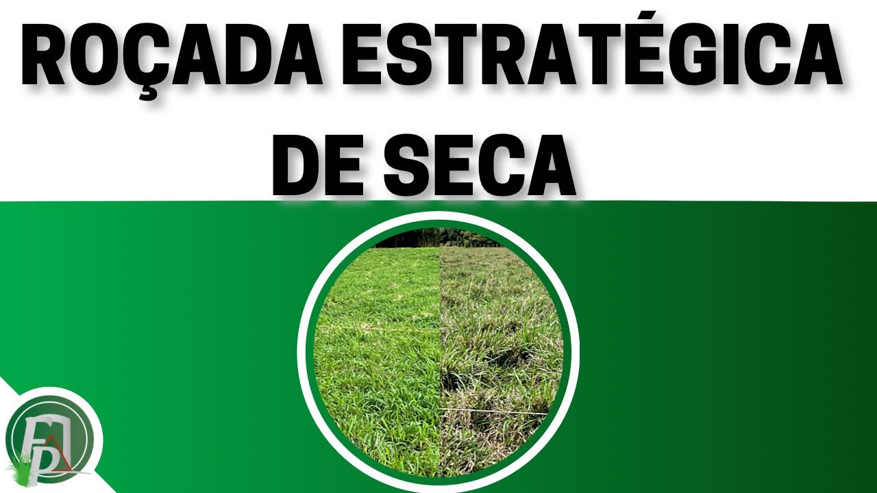ROÇADA DE PASTO NA TRANSIÇÃO SECA ÁGUAS