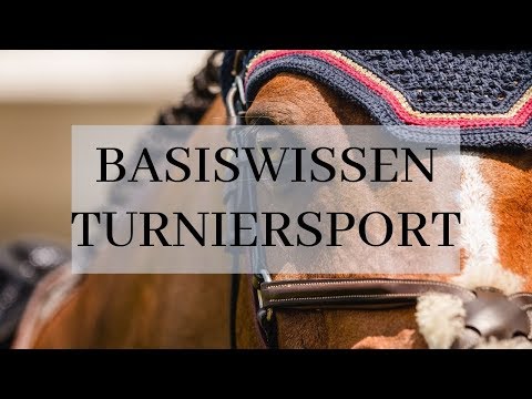Basiswissen Turniersport: LPO, WBO, Formulare und NeOn