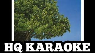 I Am a Camera Karaoke with Scrolling Lyrics | Albert Hammond | Your World and My World